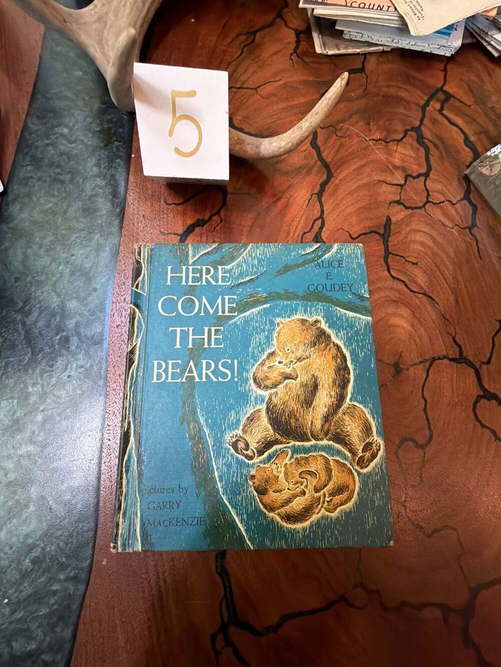 Here Come the Bears! by Alice E. Goudey and Illustrated by Garry MacKenzie